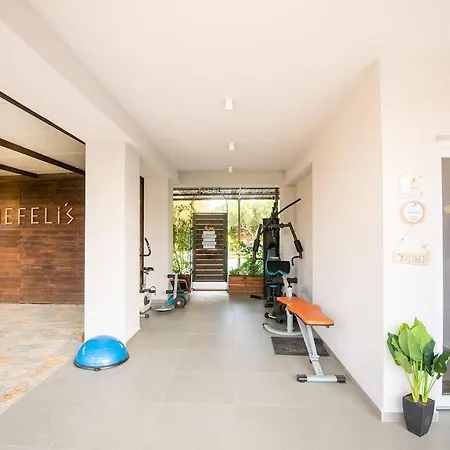 Enervillas Vip With Pool Bbq * Kato Alissos