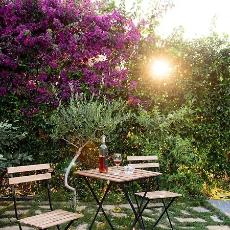 Enervillas Vip With Pool Bbq