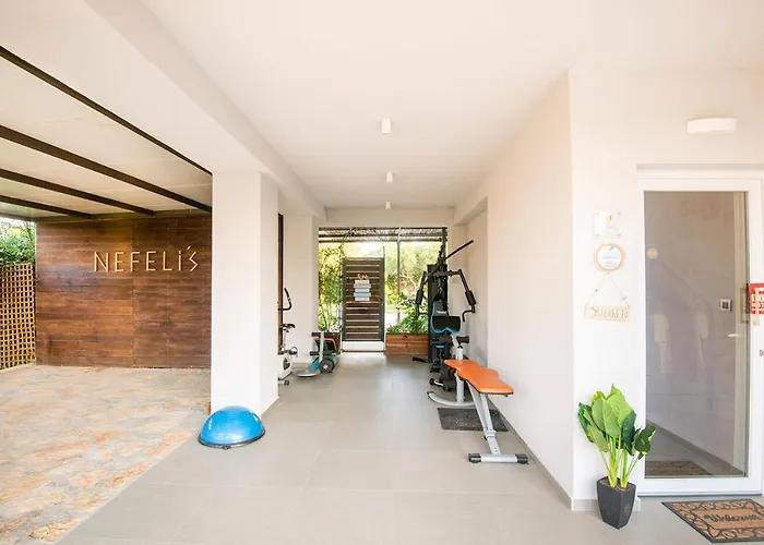 Enervillas Vip With Pool Bbq * Kato Alissos